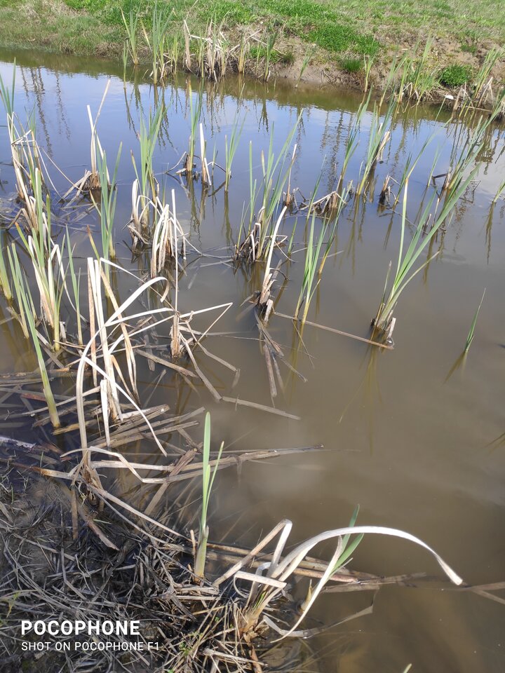 IMG_20250409_134123.jpg - Jakisfacet1