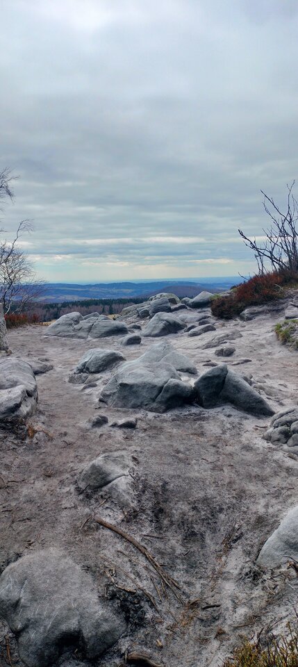 1000003832.jpg - TransKitty