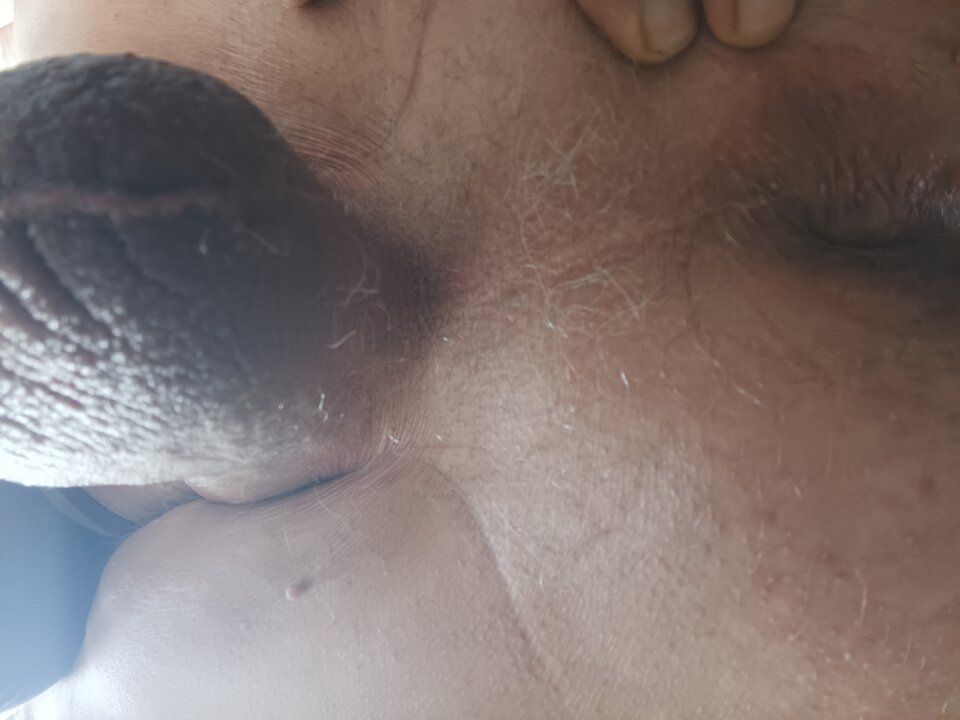 IMG_20250410_105241_564.jpg - robekBi