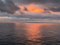 IMG_3631.jpeg