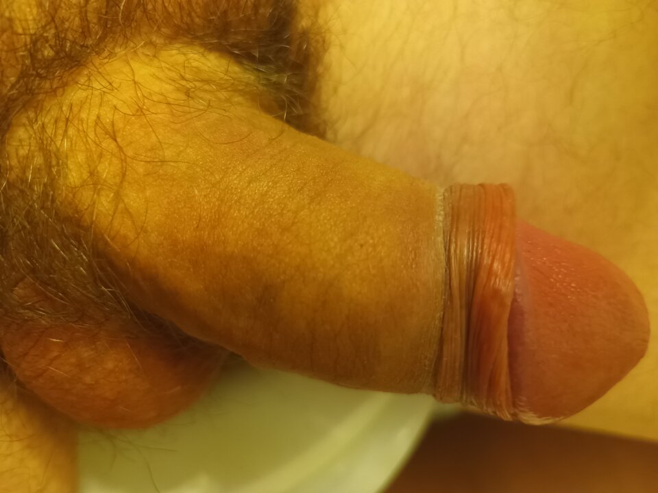 IMG_20250410_202753_866.jpg - ipkins