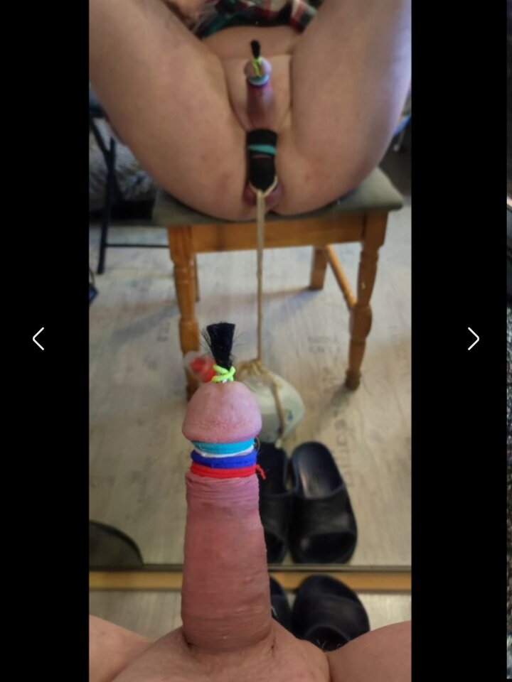 IMG_20250411_152722.jpg - marceliszpak5