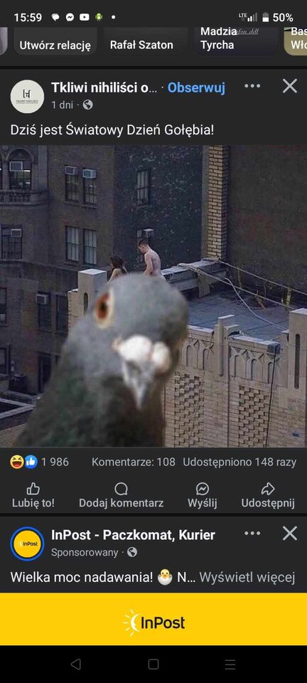 Światowy dzień Gołębia 😂😂😂😂😂😂 - lukitychy