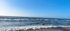 IMG_20250411_174926.jpg