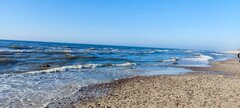 IMG_20250411_174929.jpg