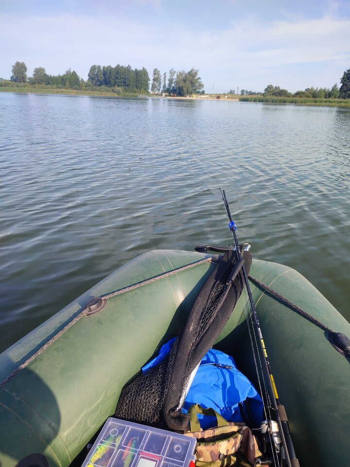 1000004617.jpg - lewy12314