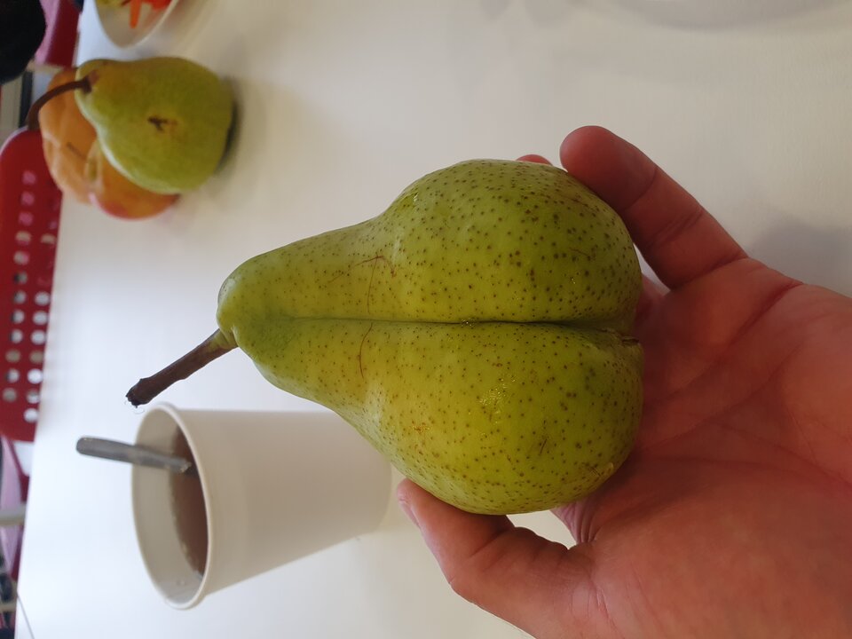 1000011607.jpg - hubertkrk77