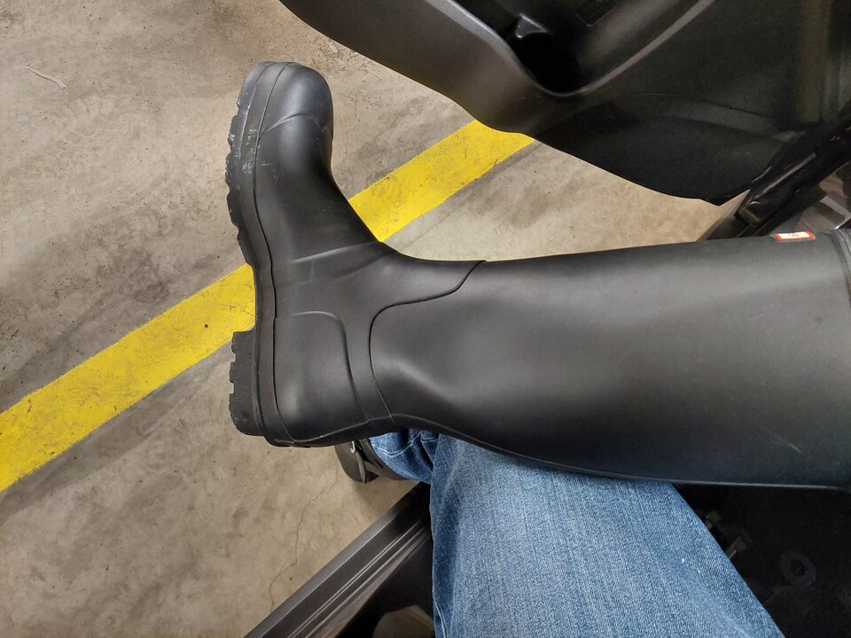 20250411_043106.jpg - Rubber_gloves