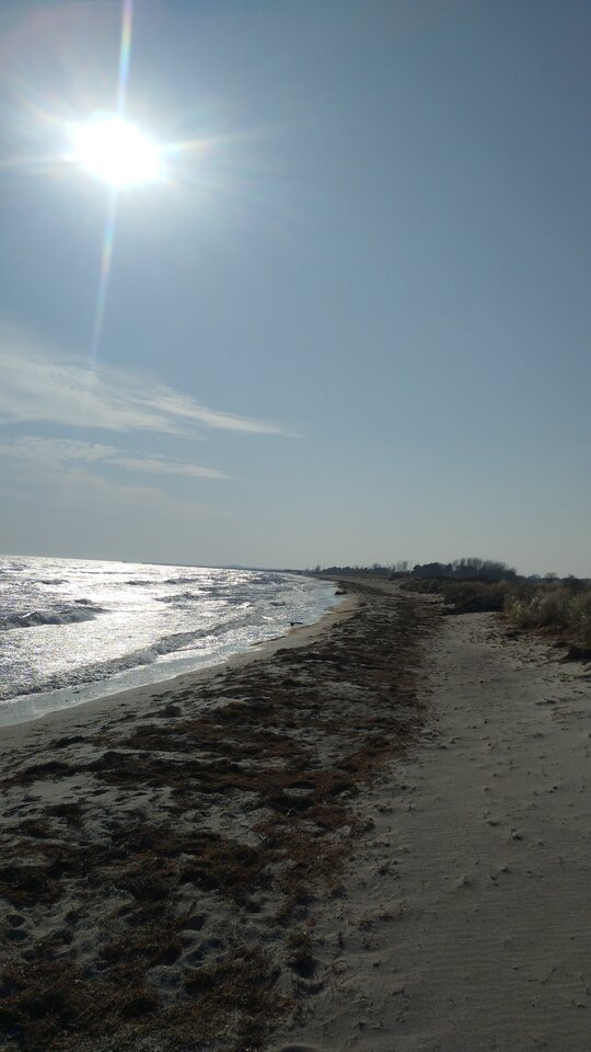 IMG-20250323-WA0006.jpeg - Werseri8