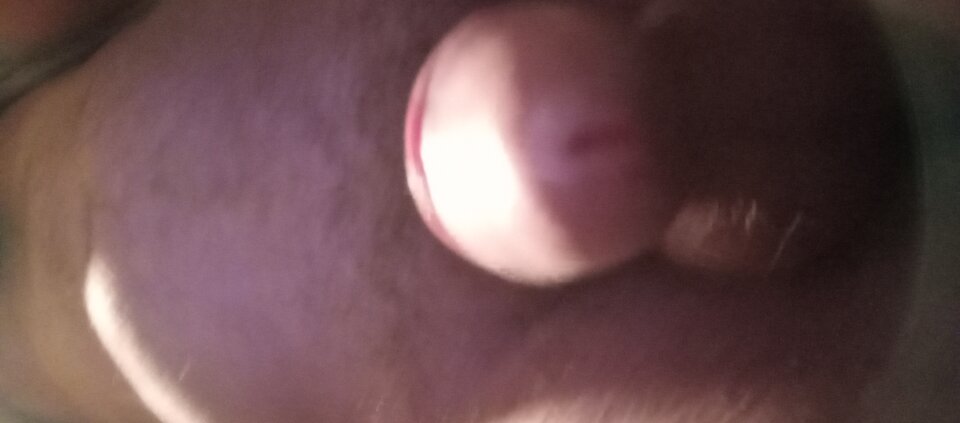 1000001643.jpg - Ralf466