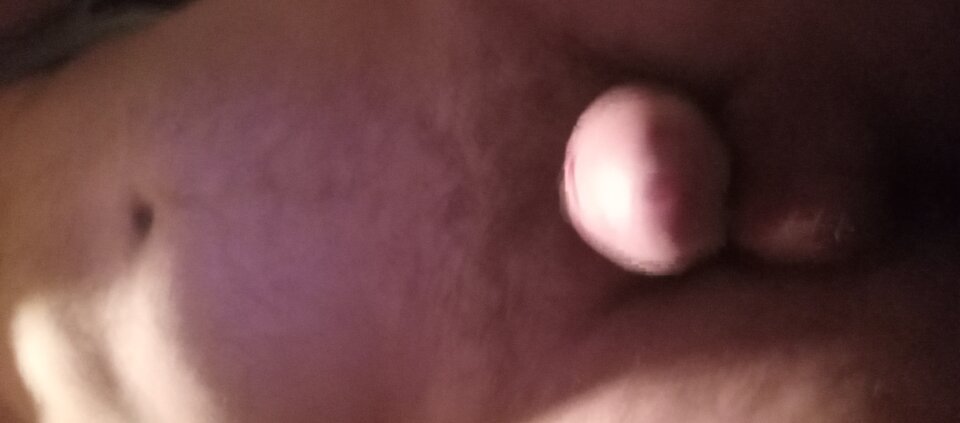 1000001640.jpg - Ralf466