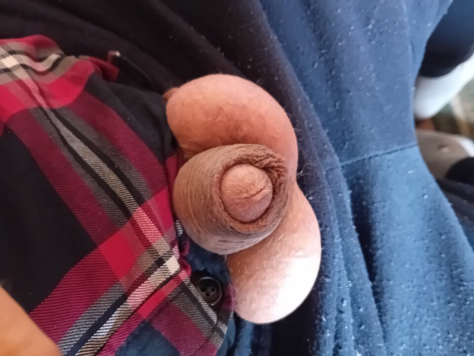 1000007231.jpg - brus13