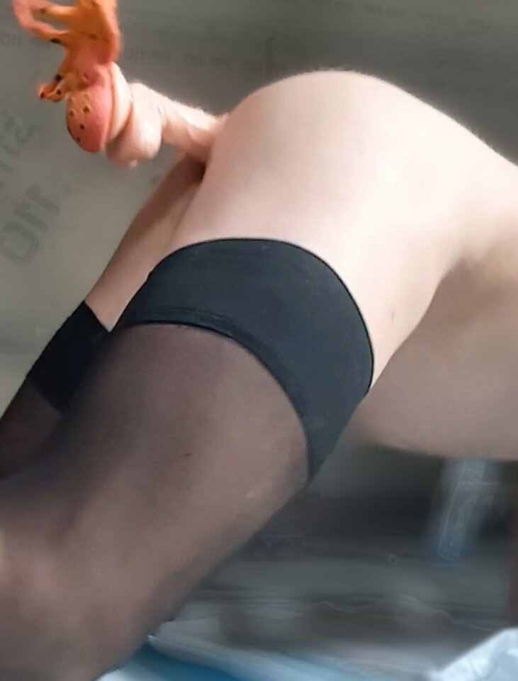 InShot_20250326_072318606.jpg - Suka474