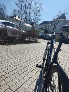 IMG_20250413_115558.jpg