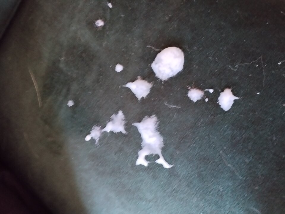 1000035046.jpg - lolecki12