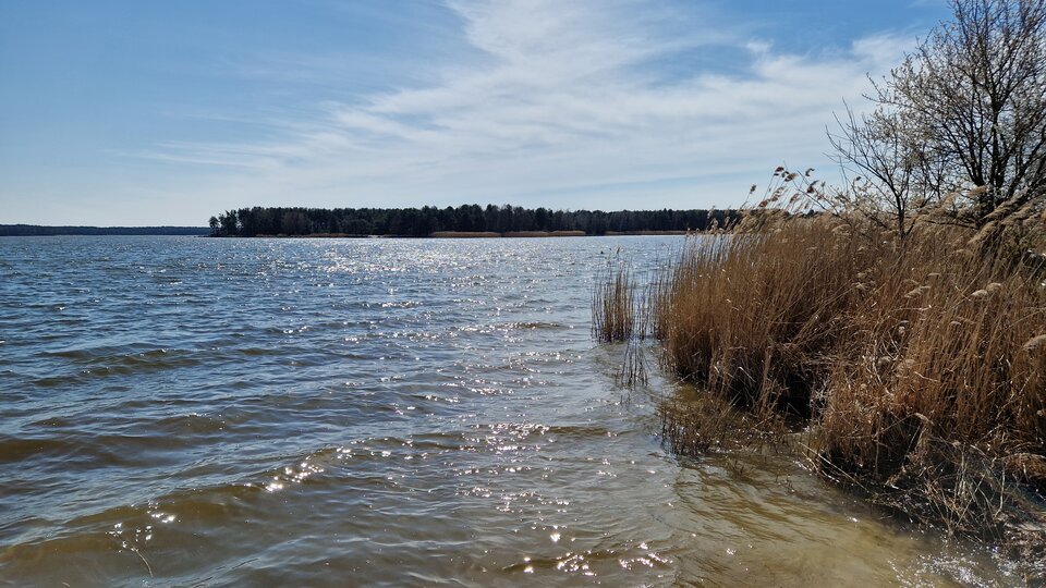 1000043702.jpg - my_razem78