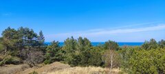 IMG_20250413_135840.jpg