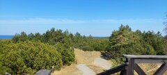 IMG_20250413_135909.jpg