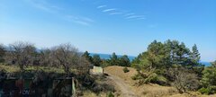 IMG_20250413_135859.jpg