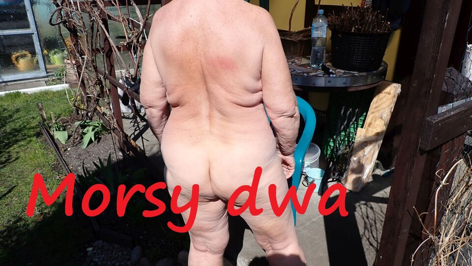 Chwilka przerwy na słoneczną pieszczotę. - Morsy_dwa