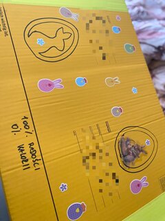 IMG_3742.jpeg