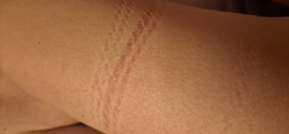 1000040279.jpg - superparkaxxx