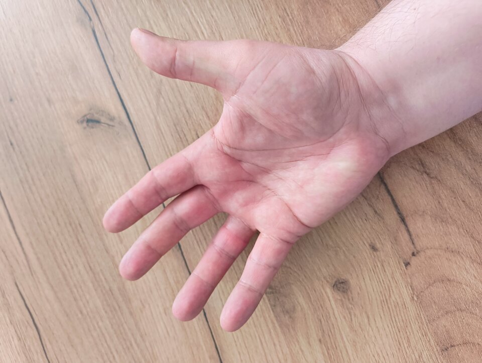 1000002280.jpg - OdglosKlapsa