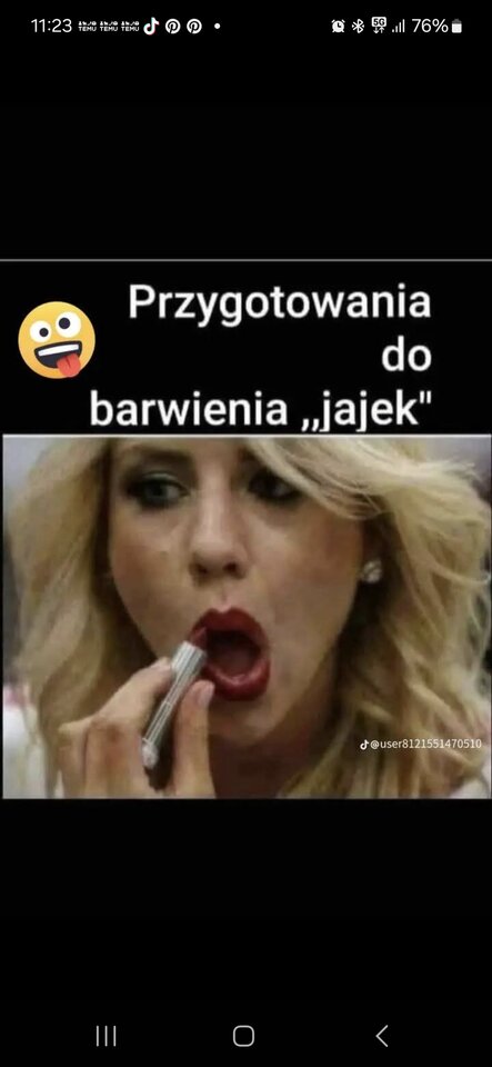 1000035734.jpg - Bi_para_KiP