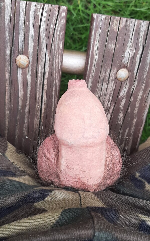 20250414_124531.jpg - Naturysta333