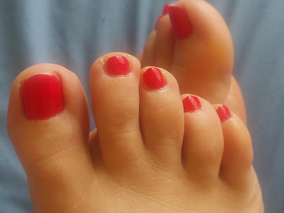 1000032194.jpg - Wredotaa