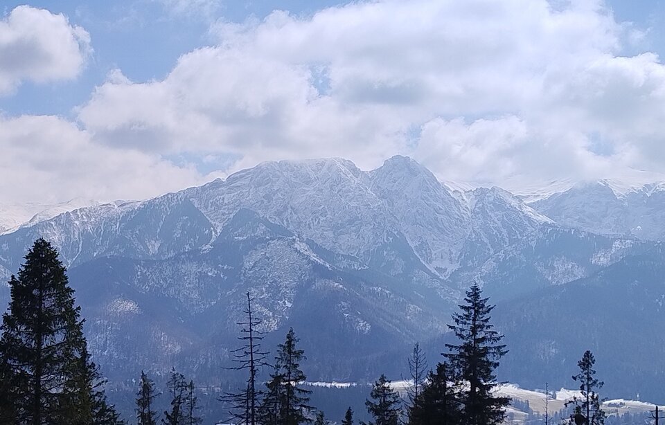 1000022801.jpg - onaonmalopolska