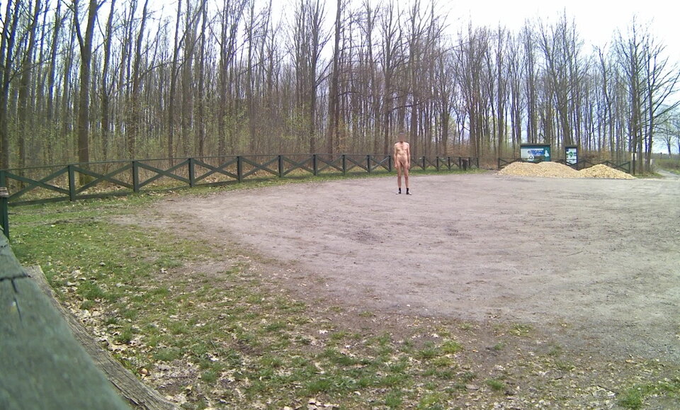 GÓRNIKI - parking leśny 20250415.mp4_snapshot_00.18.432.jpg - Krzysztof_cfnm