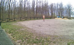 GÓRNIKI - parking leśny 20250415.mp4_snapshot_00.18.432.jpg