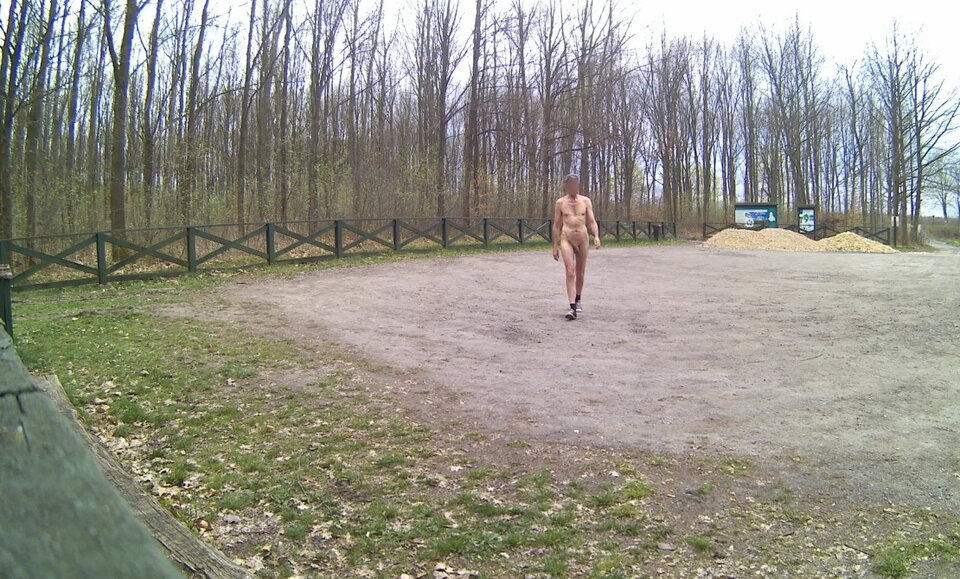 GÓRNIKI - parking leśny 20250415.mp4_snapshot_00.23.513.jpg - Krzysztof_cfnm