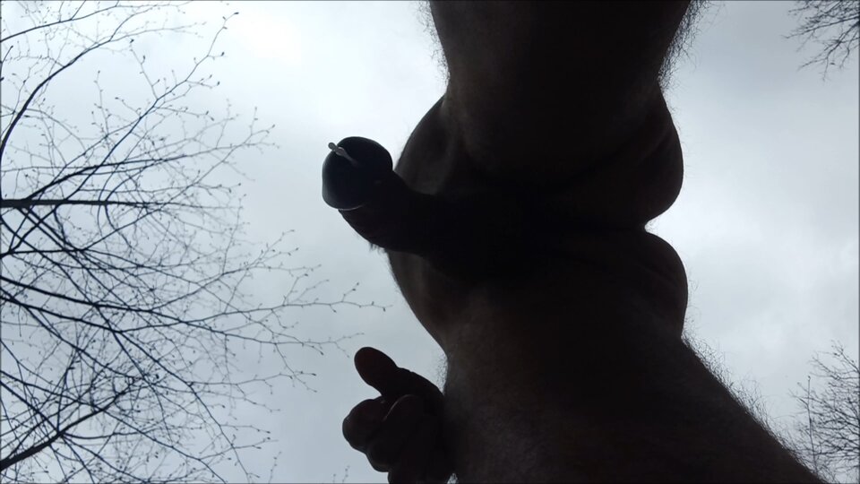 w lesie 20250415_1503.mp4_snapshot_01.3 - Krzysztof_cfnm