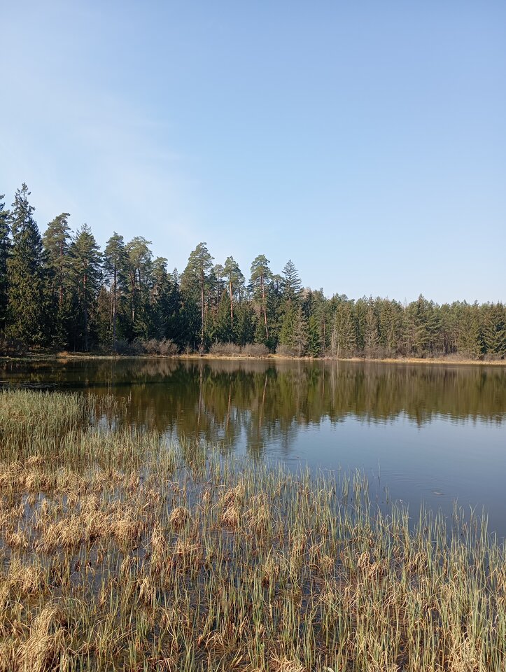 1000001469.jpg - Krzysztof061985