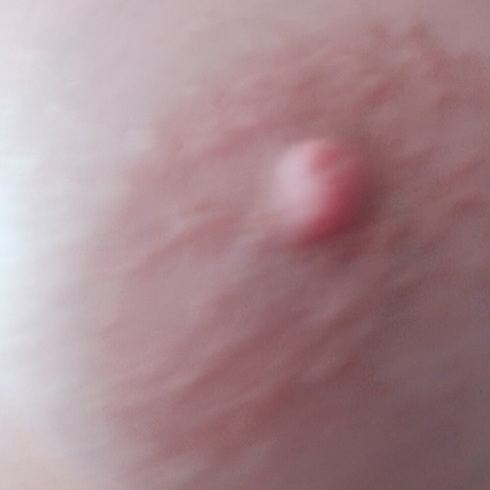 IMG_20250414_063038.jpg - olla55