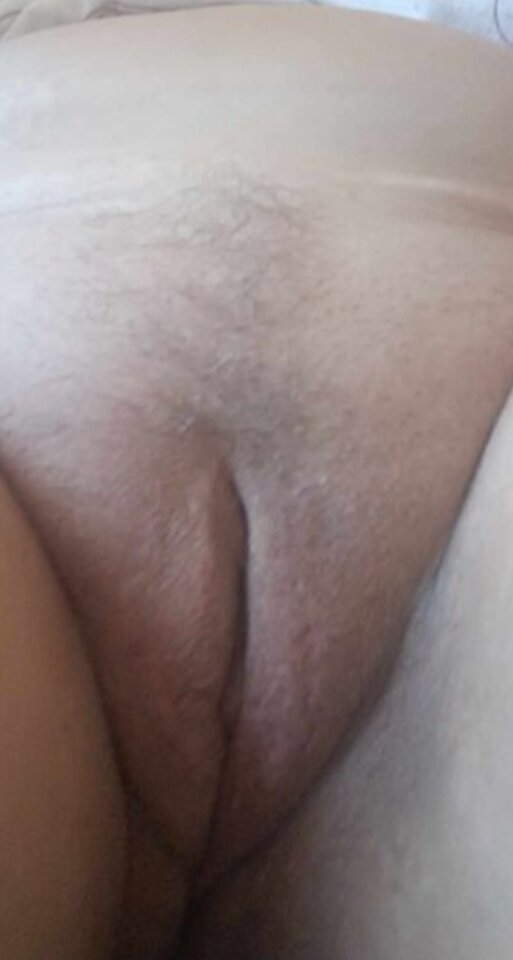 Pusia cipusia. - ONAzNIM80