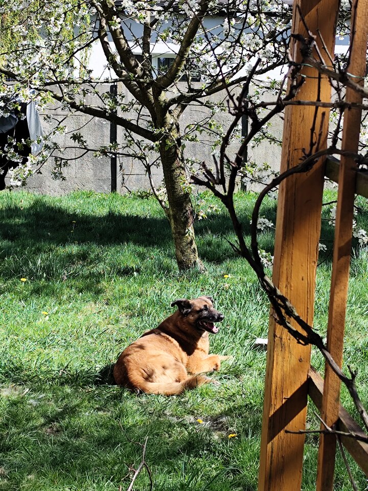 1000007477.jpg - Jestemjakwino78_2