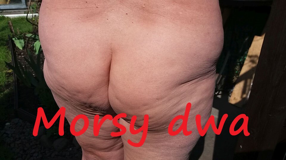 W słoneczku. - Morsy_dwa