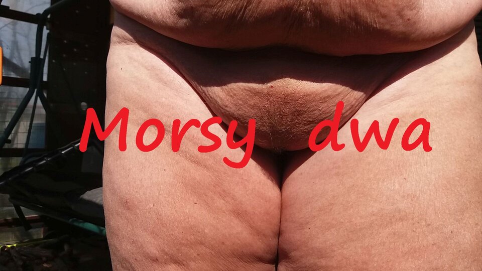 W słoneczku. - Morsy_dwa