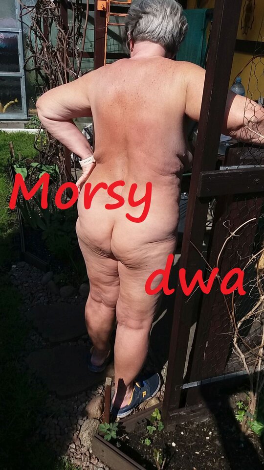 W słoneczku. - Morsy_dwa
