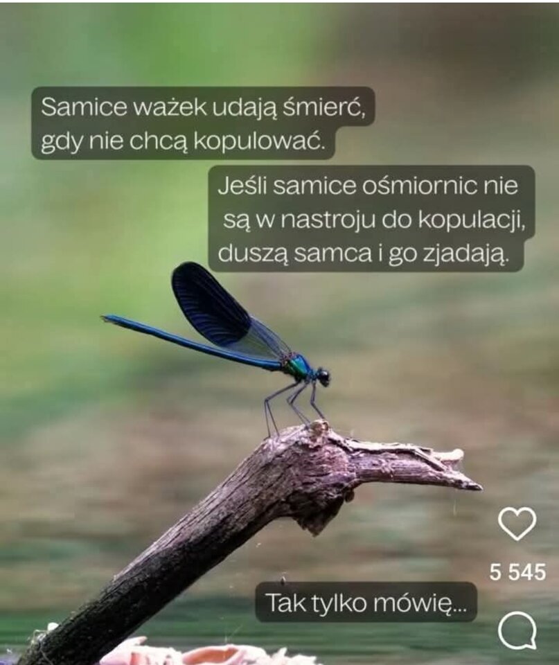 1000017297.jpg - Operator_odkurzacza