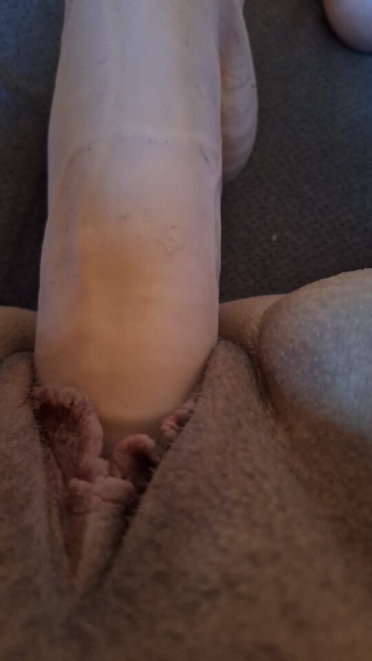 1000024519.jpg - para2428slask