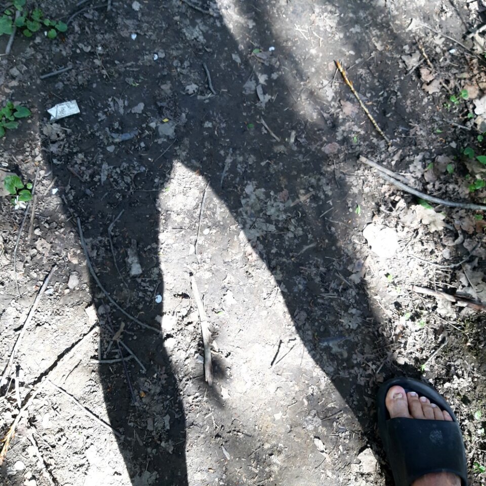 20250416_131743.jpg - Ali70plus