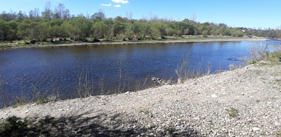 20250416_124223.jpg - Ali70plus