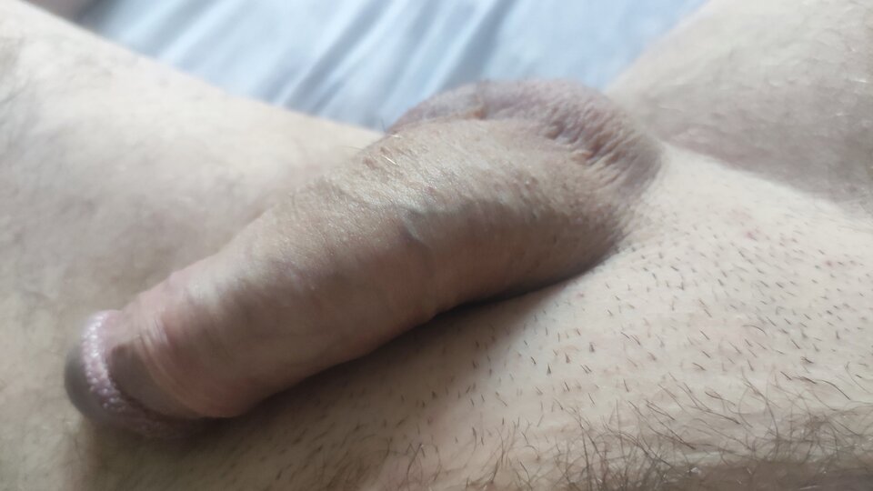 IMG_20250417_165204.jpg - Pasjonat_swobody