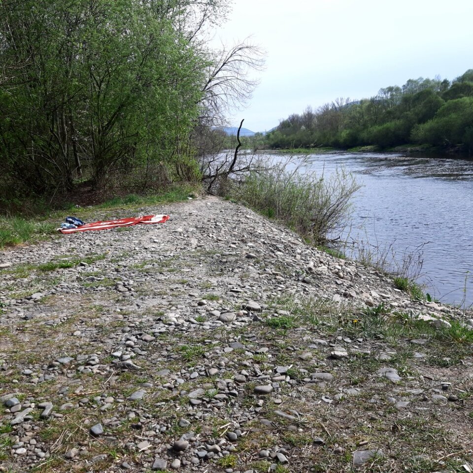 20250417_153816.jpg - Ali70plus