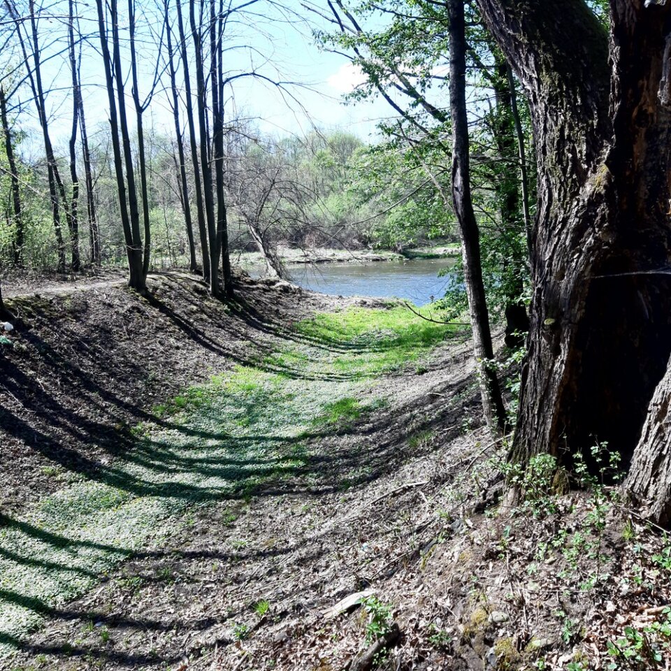 20250416_131524.jpg - Ali70plus