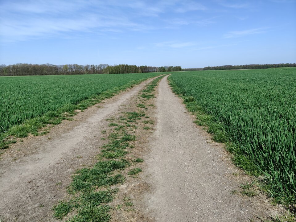 1000077533.jpg - Mateusz184